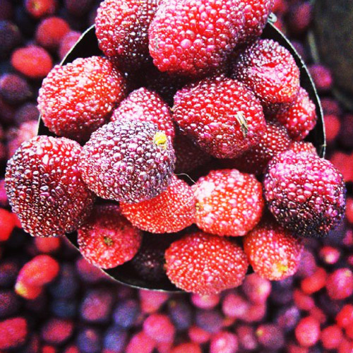 Kafal Fruit (500gm) Organic
