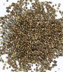 Pahari Bhang Hemp Seeds (400gm) Organic